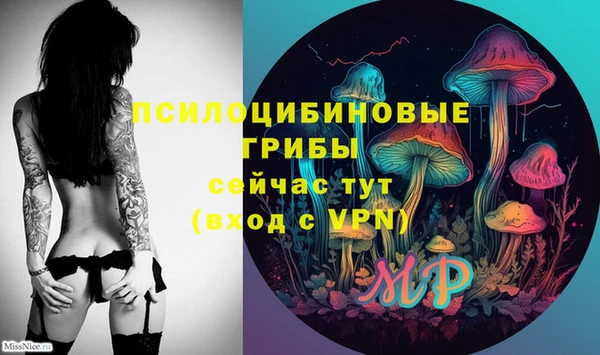 дмт Бронницы