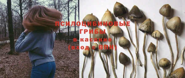 таблы Бугульма