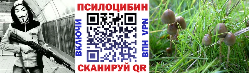 кракен ONION  Салават  Псилоцибиновые грибы Magic Shrooms  купить наркотики сайты 